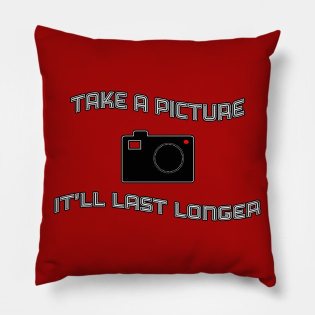 Take A Picture Pillow by SCL1CocoDesigns