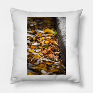 Fallen Leaves Pillow