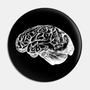 Anatomical Correct Brain Illustration Pin