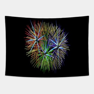 Light Up The Night Sky Colorful Fireworks Celebrations Tapestry