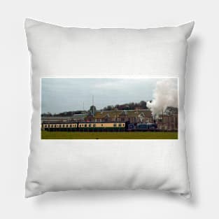 CR 419 Pillow