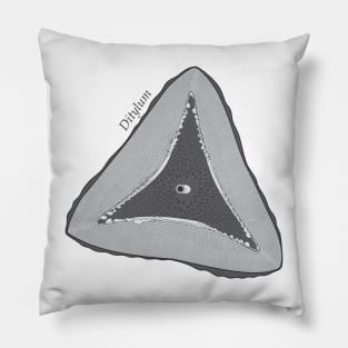 Diatom - Ditylum (scientific) Pillow