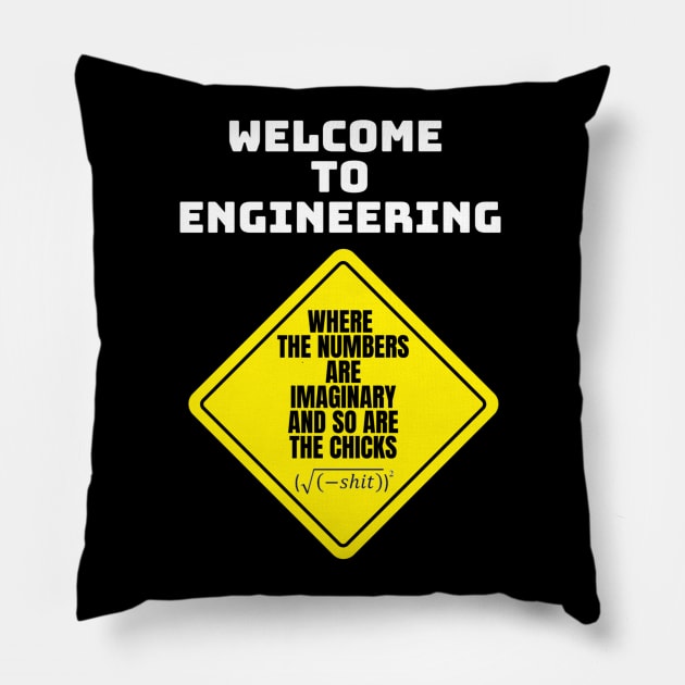 Mathematics and Engineering Pillow by Humor me Engineering and Math