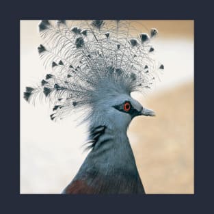 victoria crowned pigeon T-Shirt