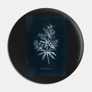 Cyanotype - Rubia Tinctora Pin