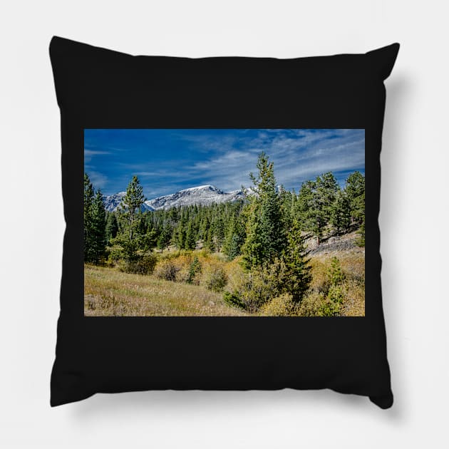 A Day In The Park With A View Pillow by nikongreg