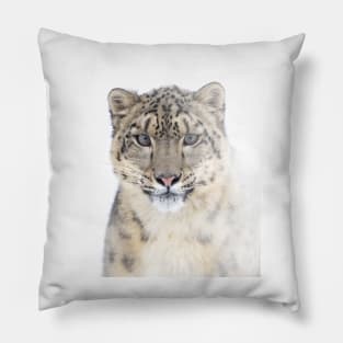 Snow Leopard Pillow