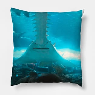 fish, ocean, marine life, ray, shark, stingray- sawfish Pillow