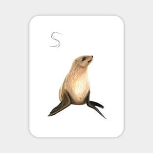 S for seal alphabet illustration, pencil illustration from my alphabet series Magnet