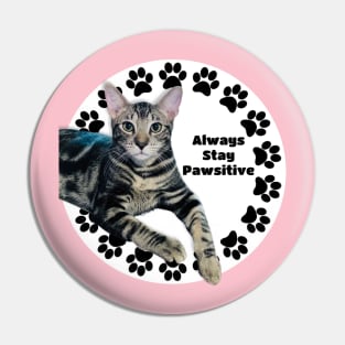 Always Stay Positive Grey Cat Pin