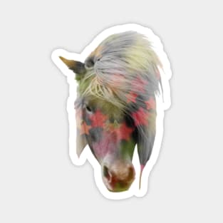 Pony Disco Magnet