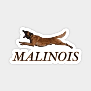 Belgian MALINOIS Magnet