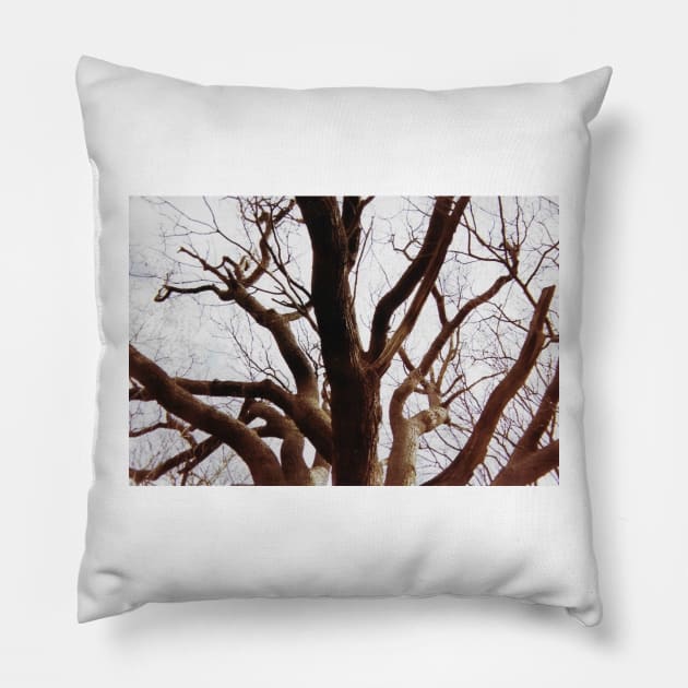 In the trees Pillow by griefmother 