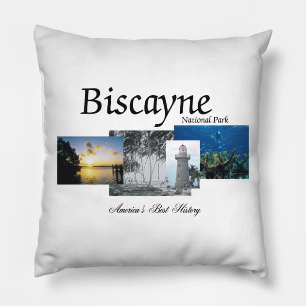 Biscayne National Park Pillow by teepossible