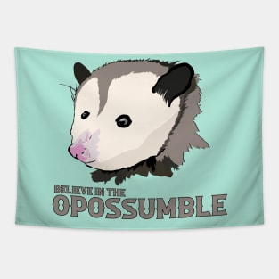 Believe in the Impossible Motivational Possum Tapestry