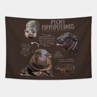 Animal Facts - Pygmy Hippopotamus Tapestry