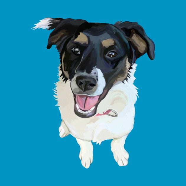 Cute Canine Border Collie Mix by Art by Deborah Camp