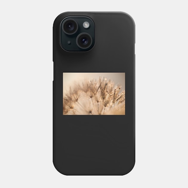 Dandelion Dew Phone Case by GaryMcParland