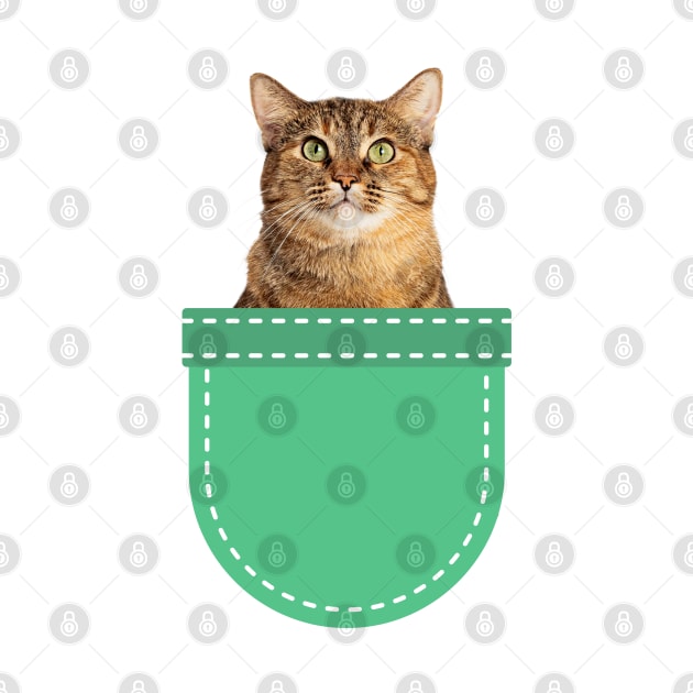 Grey Tabby Cat in Pocket by leBoosh-Designs