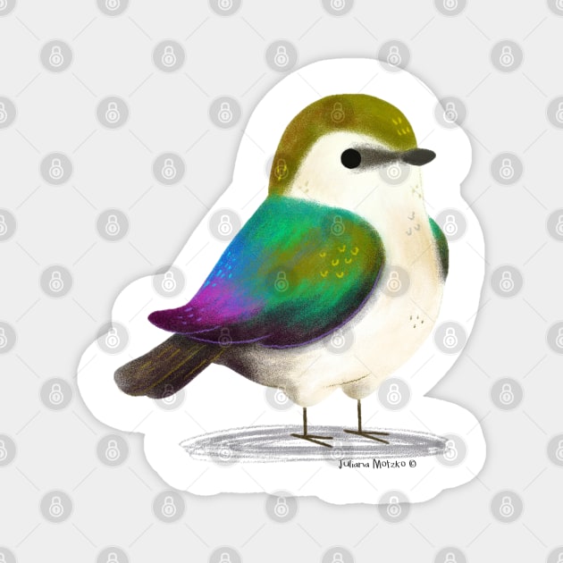 Violet Green Swallow Magnet by julianamotzko