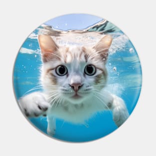 Cat Pet Animal Fun Playing Water Outdoor Pin