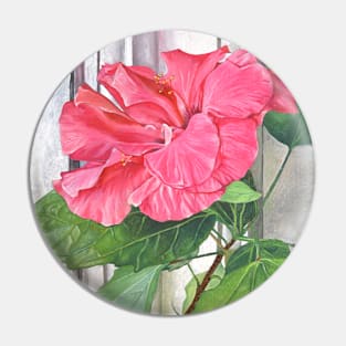 Rose of Sharon Hibiscus flower by window. Pin