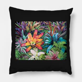 Bromeliad Rendevous Pillow