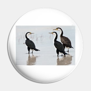 Three Cormorants Pin