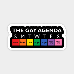 The Gay Agenda Magnet