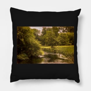 Swans On The Itchen a Digital Painting Pillow