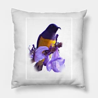 Olive-backed (Yellow-bellied) Sunbird Pillow