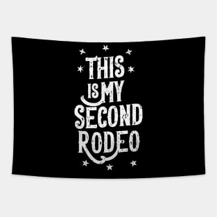 This is my second rodeo Tapestry