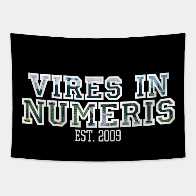 Road in Mountains Vires in Numeris Cryptocurrency Bitcoin Tshirt Tapestry by felixbunny