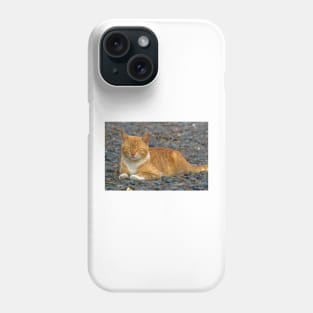 CAT IN THE GARDEN Phone Case