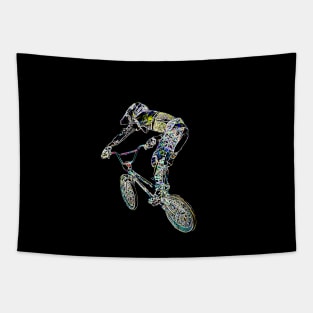 bmx Tapestry