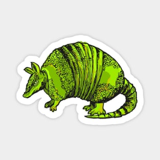 Green Armadillo Magnet