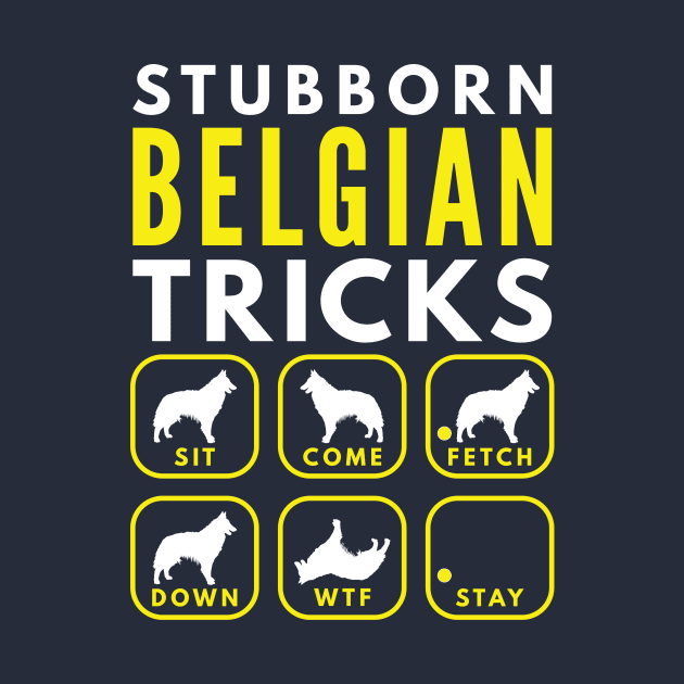 Stubborn Belgian Tervuren - Dog Training by DoggyStyles
