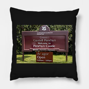 Penrhyn castle Pillow