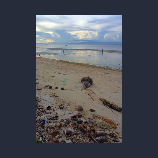 Coconut Shells on a Siquijor Beach at Sunset by likbatonboot