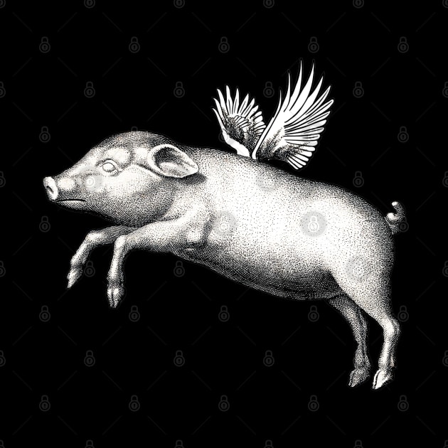 Flying Pig Funny Black And White Vintage Winged Animal by ZAZIZU