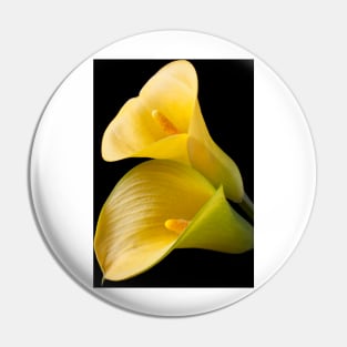 Pair of Yellow Calla Lilies Pin