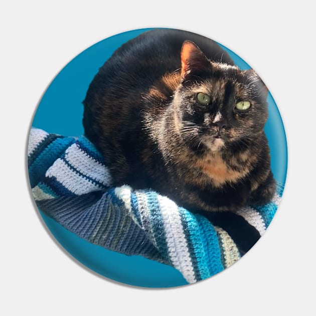 Thoughtful Tortie Pin by Amanda1775