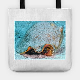 Queen Conch Tote