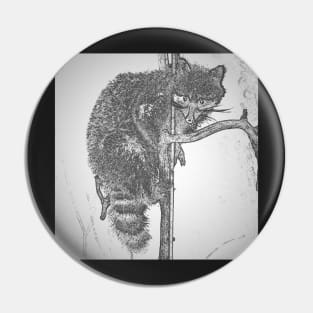 Climbing Racoon Pin