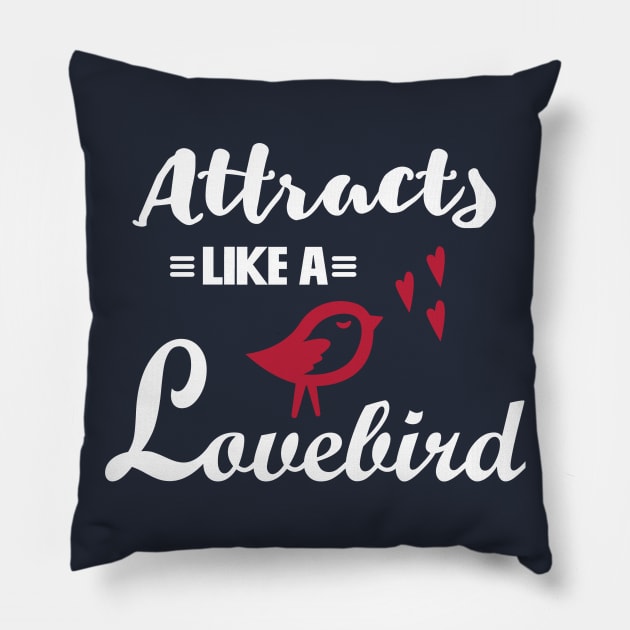 Law of Attractions Pillow by notami