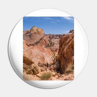 White Domes Trail Pin