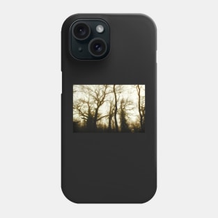 Tree Skeletons in fog Phone Case