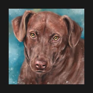 Painting of a Chocolate Labrador looking directly at you, blue background T-Shirt