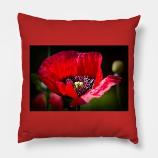 Artistic Poppy Pillow