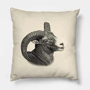 Mouflon Pillow